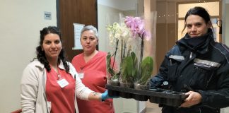 Poggio Rusco, piante sequestrate donate a strutture sociali dalla Polizia Locale