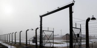 Giorno della Memoria, Meloni: “Pagina buia, condanniamo complicità del regime fascista”