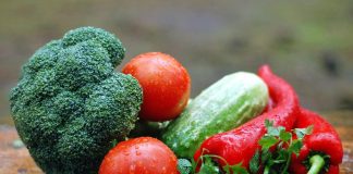 Mantova aderisce alla Green Food Week con menù sostenibili nelle scuole