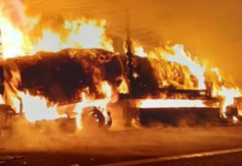 Tamponano un camion fermo in A22, coppia muore tra le fiamme del loro furgone