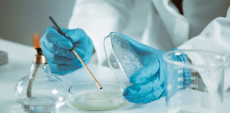 Ricerca: sclerosi multipla, nuove strategie per trattarla potenziando il sistema immunitario