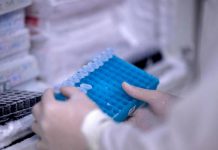 Scoperto il virus gigante Ushikuvirus, lo studio: “Può darci indizi su origine della vita”