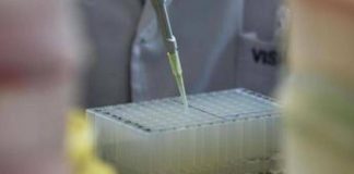 Cresce la moda del testosterone antiaging, funziona o fa male? Cosa dicono gli esperti