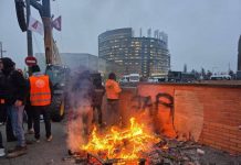 Mercosur, arriva il rinvio del Parlamento Europeo alla Corte di Giustizia Ue