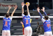 Gabbiano Farmamed cerca riscatto dopo due ko: domenica di scena a San Donà