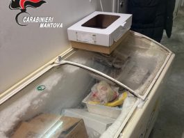 Gravi carenze igienico-sanitarie e cibi scaduti: chiuso bar-gastronomia, maximulta e cenone annullato