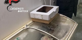 Gravi carenze igienico-sanitarie e cibi scaduti: chiuso bar-gastronomia, maximulta e cenone annullato