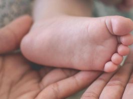 E’ Sara la prima bimba mantovana del 2026. E’ nata all’ospedale di Pieve