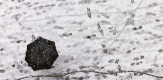 Dal freddo artico al tempestoso Maestrale: brusca svolta meteo sull’Italia