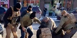 Minneapolis, Pretti ucciso dagli agenti: i video e la pistola, inchiesta e tensioni