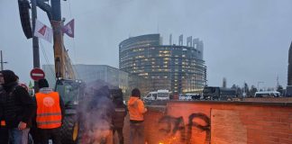 Ue-Mercosur, il Parlamento Europeo rimanda l’accordo alla Corte di Giustizia