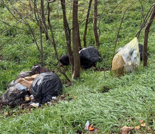 Borgo Mantovano, beccati i “furbetti” dei rifiuti: 4.500 euro di multa