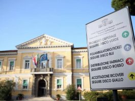 Sorveglianza e prevenzione della Dengue, dallo Spallanzani aggiornamento linee guida