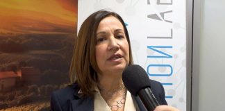 Imprese, Tiloca (CamCom Sassari): “Camera del Futuro portale modellato per aziende del Nord Sardegna”