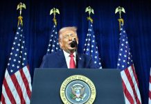 Groenlandia, Trump pronto a comprarla: la mossa del presidente Usa e gli scenari