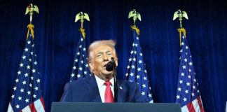 Groenlandia, Trump pronto a comprarla: la mossa del presidente Usa e gli scenari