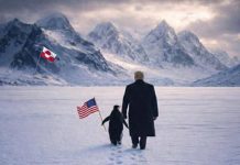 Trump, la Groenlandia e la foto col pinguino: stavolta la Casa Bianca stecca