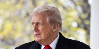 Groenlandia, Ue prepara risposta ai dazi di Trump: piano da 93 miliardi