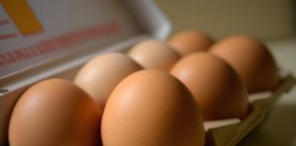 Allarme salmonella, ritirati lotti di uova fresche