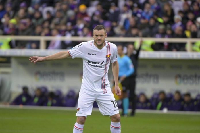 vardy