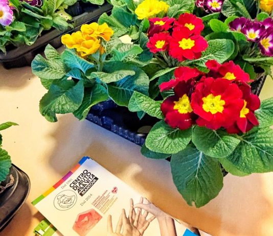 Mantova, primule solidali del Cav per sostenere mamme e bambini in difficoltà