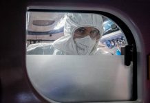 Virus Nipah in Europa e rischi contagio, cosa dice l’Ecdc e i consigli per chi viaggia