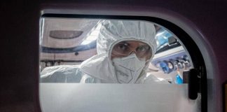 Virus Nipah in Europa e rischi contagio, cosa dice l’Ecdc e i consigli per chi viaggia