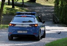 Controlli straordinari della Polizia: due irregolari identificati nel Mantovano