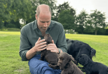 William e Kate condividono l’amore di Elisabetta II per i cani, James Middleton spiega perché