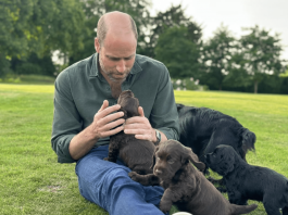 William e Kate condividono l’amore di Elisabetta II per i cani, James Middleton spiega perché