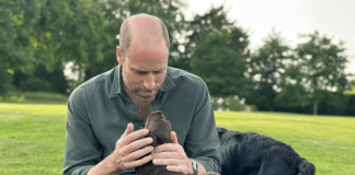 William e Kate condividono l’amore di Elisabetta II per i cani, James Middleton spiega perché