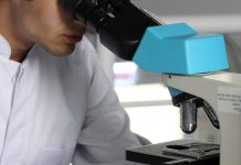 Romania, scoperto un batterio di 5mila anni fa resistente a 10 antibiotici moderni