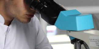 Romania, scoperto un batterio di 5mila anni fa resistente a 10 antibiotici moderni