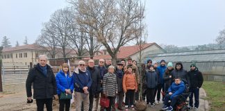 Nuovi alberi al maneggio della Casa del Sole grazie ai Maestri del Lavoro