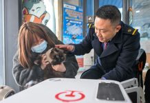 Cina, gli animali domestici adesso possono viaggiare sui treni ad alta velocità