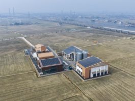 Cina, la modernizzazione fa crescere la produttività dei terreni agricoli