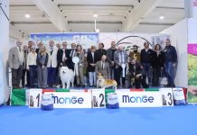 Il Samoiedo Vafer Boschi Vecchi vince il Best in Show del sabato a Gonzaga