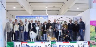 Il Samoiedo Vafer Boschi Vecchi vince il Best in Show del sabato a Gonzaga