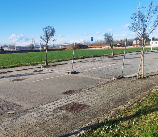 Curtatone, una quercia per ricordare i bambini mai nati: sabato la cerimonia al Mirabello