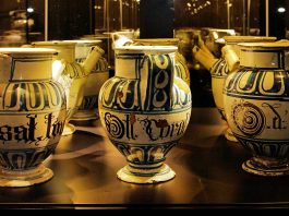 Museo Farmacopea Ostiglia, Barberio replica a Salvadori. “Nuovi spazi, digitale e giardino: cambia tutto”