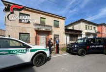 Suzzara, controllo del territorio: carabinieri e polizia locale insieme per la sicurezza dei cittadini