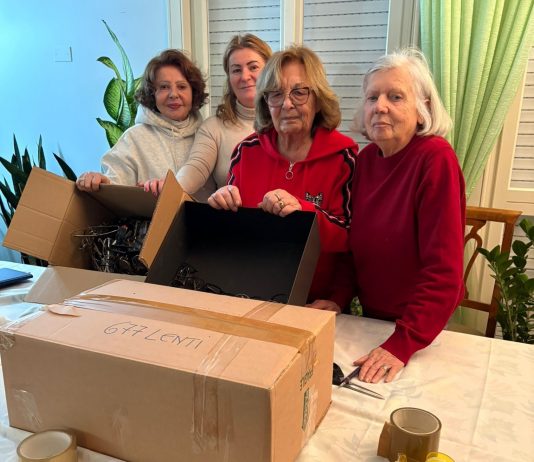 Lions Viadana Oglio Po attivo tra solidarietà e raccolte benefiche