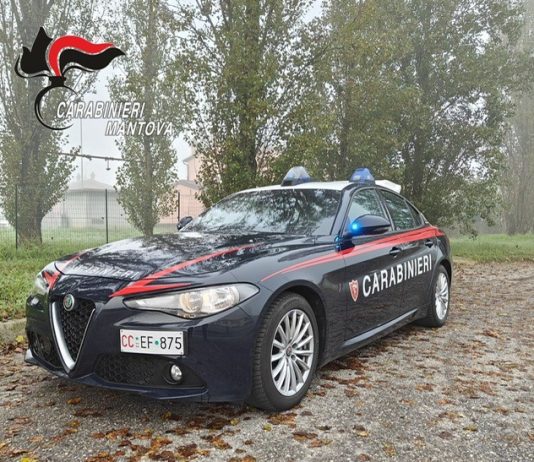 Mantova, rubano nel market e spintonano la titolare: cinque ragazzini denunciati per rapina impropria