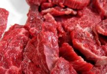 Federcarni contro il divieto di macellazione equina: “Colpo a tradizione e imprese”