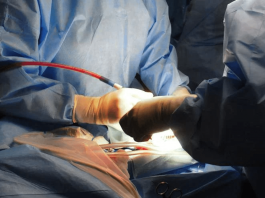 Trapianti, Ordine psicologi: “Morte Domenico choc collettivo, sostegno stabile a famiglia”