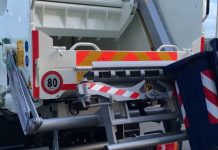 Investe e uccide cane col camion della raccolta rifiuti: denunciato 60enne