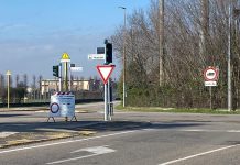 Le lumache mandano in tilt i semafori della città