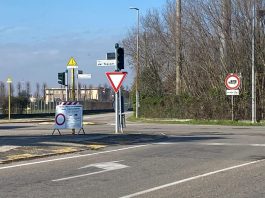 Le lumache mandano in tilt i semafori della città