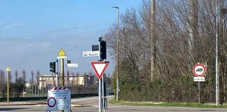 Le lumache mandano in tilt i semafori della città