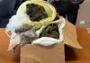 Revere, sorvegliato speciale nasconde un chilo di marijuana in un casolare: arrestato